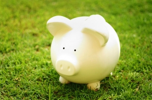 investeringssubsidie duurzame energie