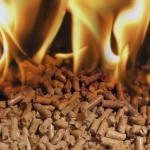 pellets