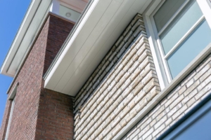 Vrijstaande woning Schiedam